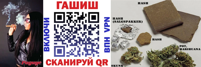 Купить закладки  Сурск  Гашиш индика сатива 