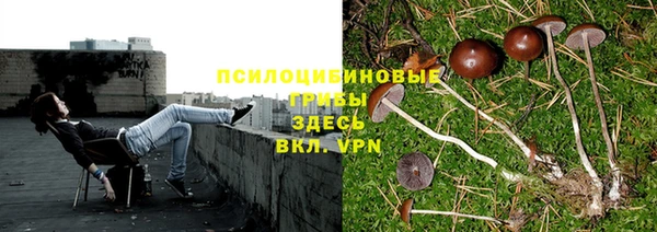 марихуана Кинешма