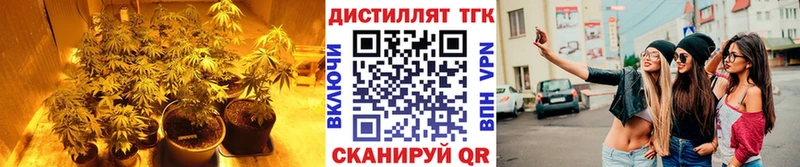 Купить  Сурск  Дистиллят ТГК Wax 