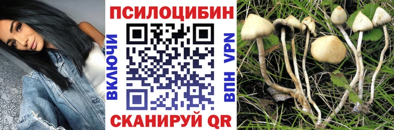 Галлюциногенные грибы прущие грибы  Купить где  Сурск 