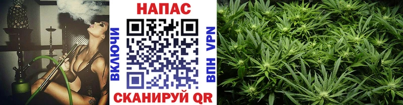Канабис марихуана  Купить где  Сурск 